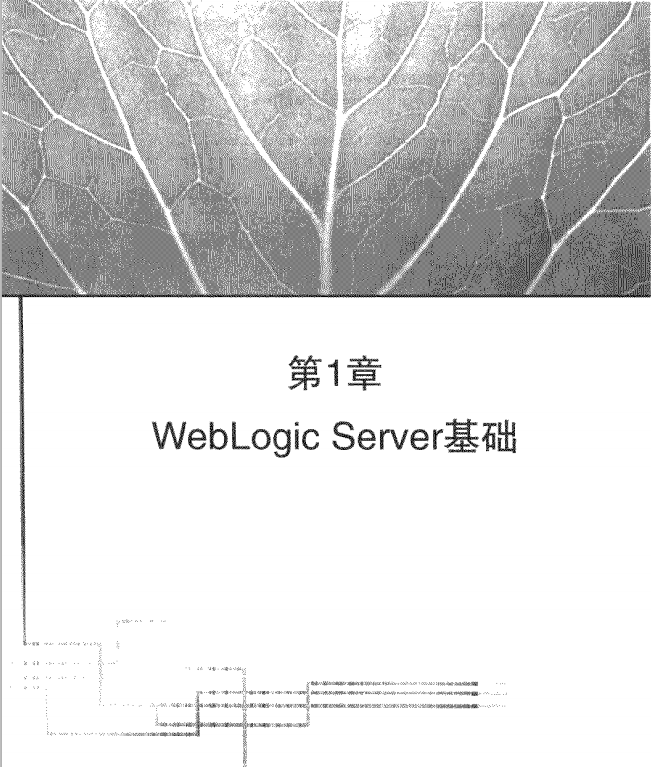 weblogic管理指南 中文PDF