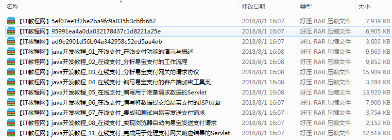 Java开发在线支付平台视频教程（12集）