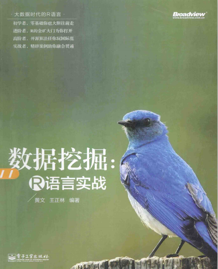 数据挖掘 R语言实战
